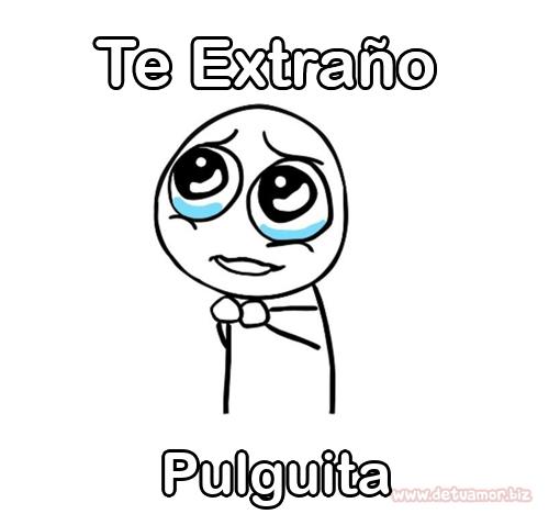 Te extraño Pulguita