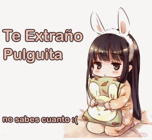 Te extraño Pulguita